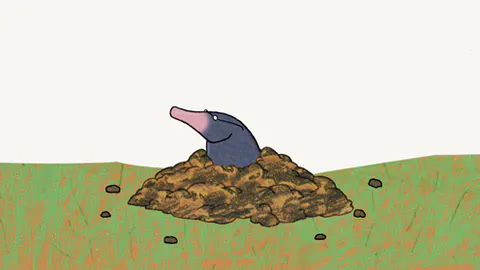 The Story of the little Mole who knew that it was none of his Business